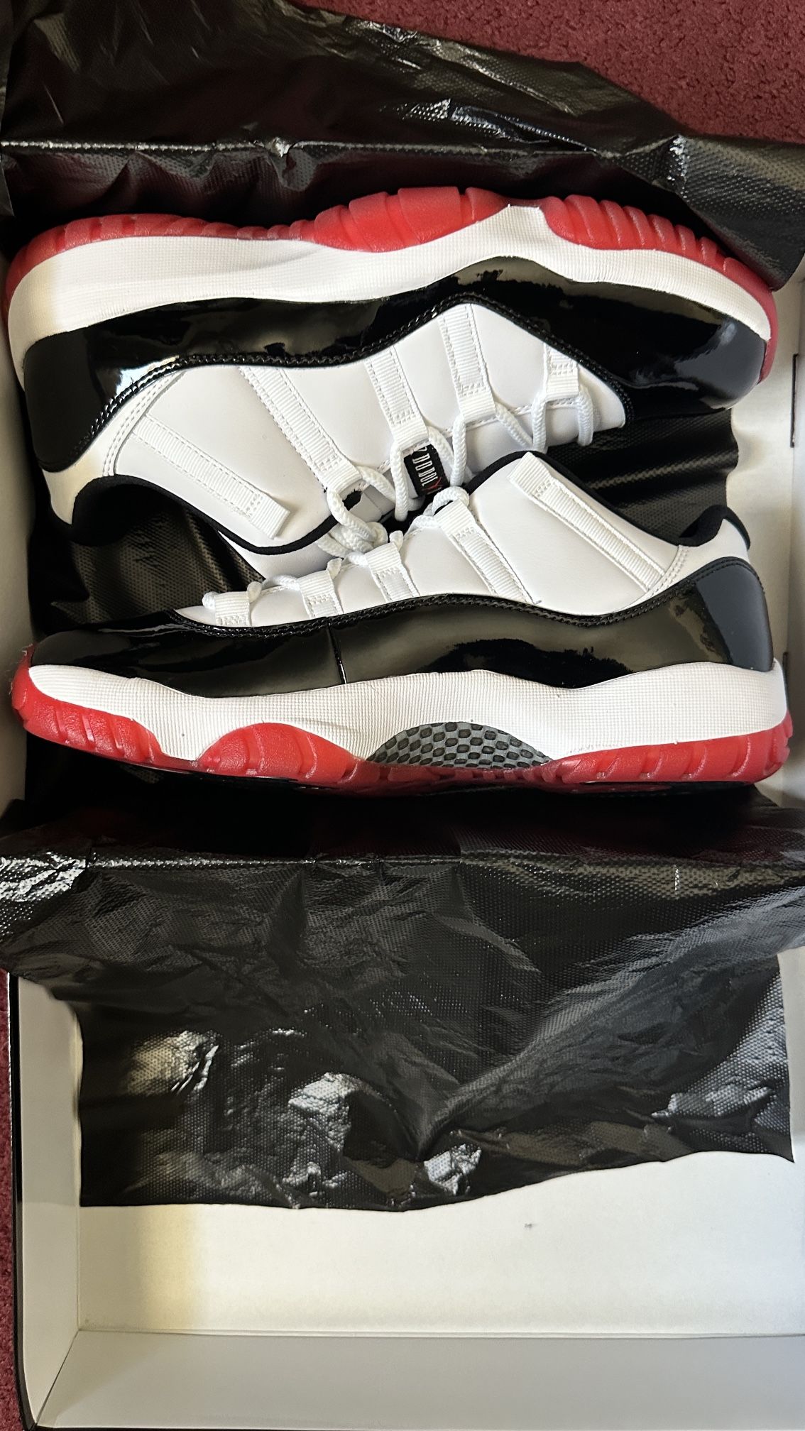 Jordan 11 Concord Bred Low
