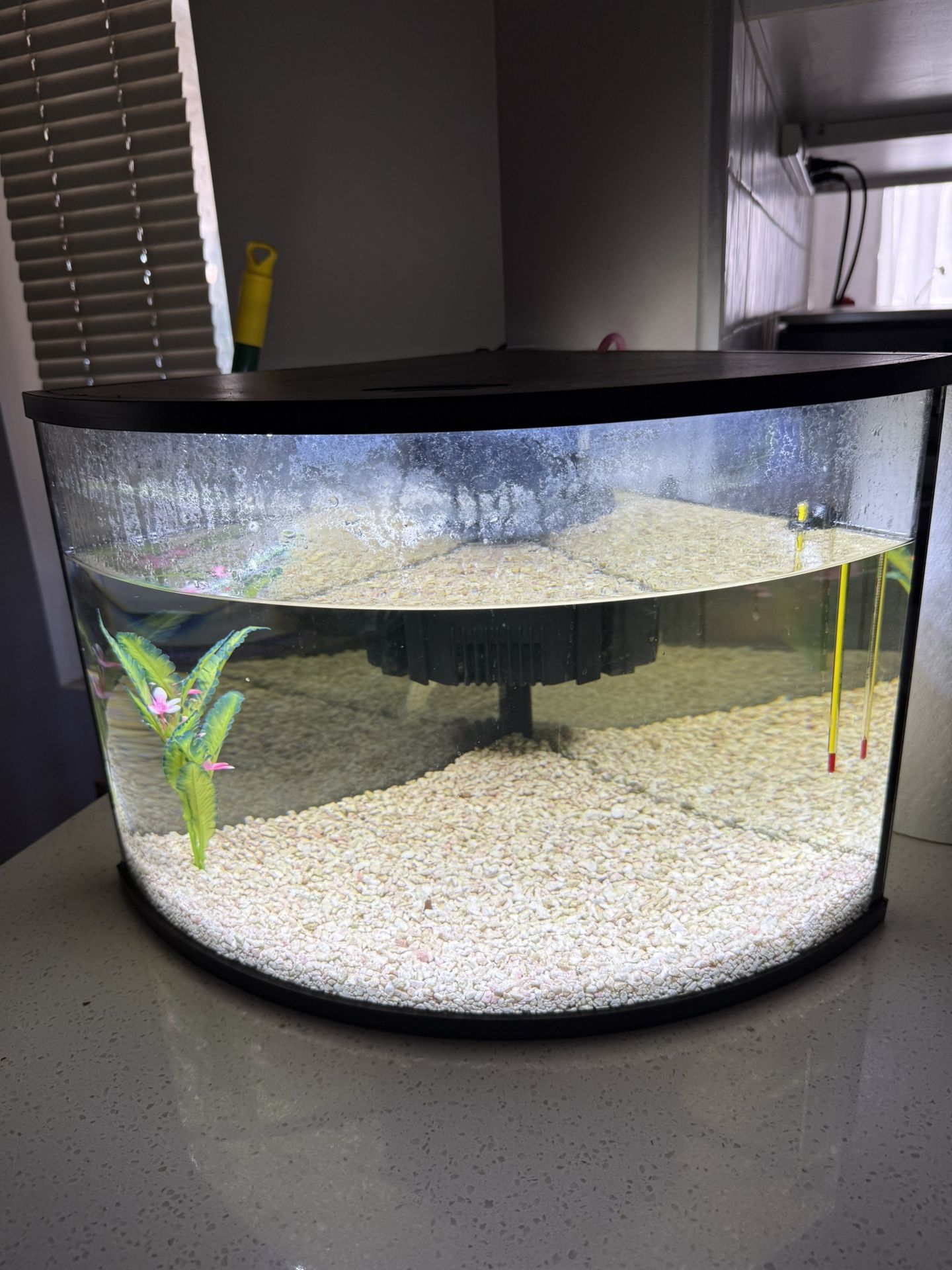 6 Gallon Corner Aquarium