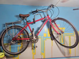Vintage Specialized Cruiser
