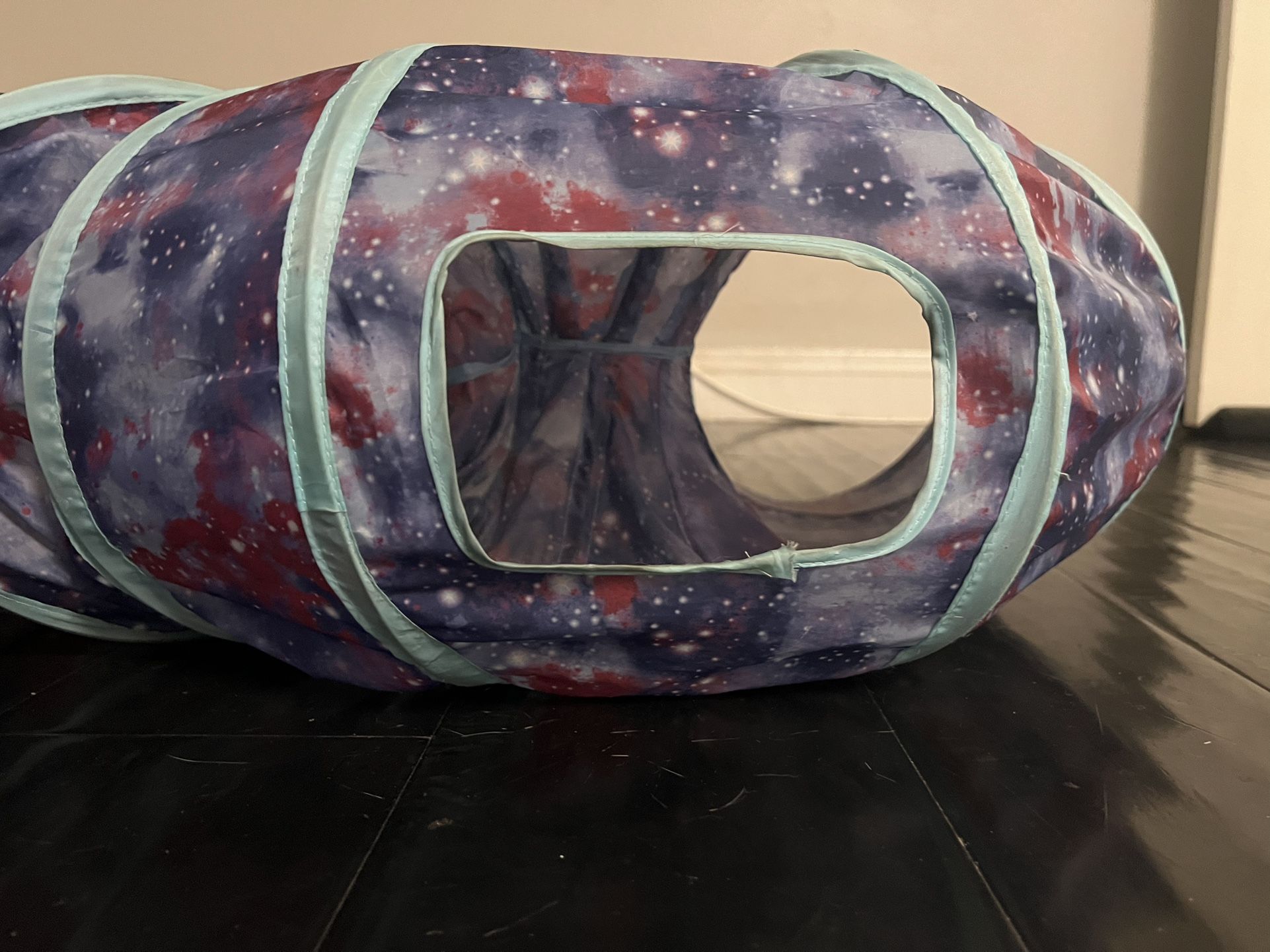 Cat Tunnel