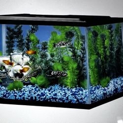 Glass Fish Tank