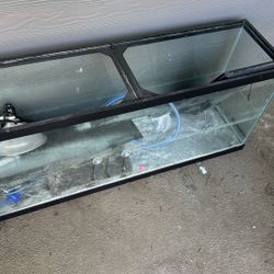 55 Gallon Fish Tank 