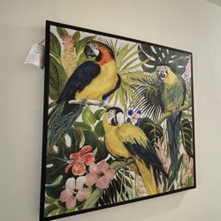 Picture Birds