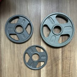 Various Weider Barbell Plates 