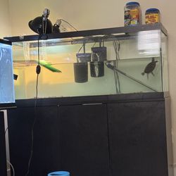 75 Gallon Tank And Stand 