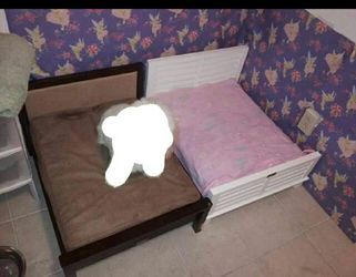 Small pet beds.. cats and small dogs...n