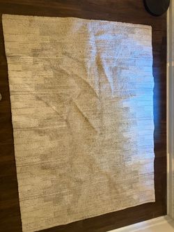 Beige Area Rug