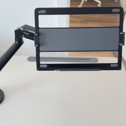 Monitor/Laptop Mount