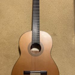 Acoustic Guitar