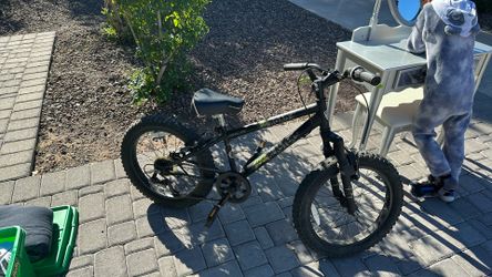 Schwinn rick blaster Bike