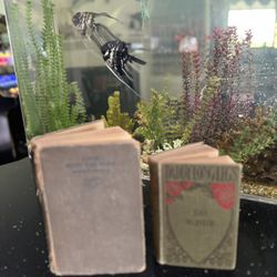 Vintage Books 1941 Gone With The Wind & 1912 Daddy Long Legs