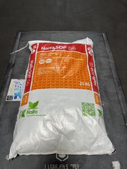 Haifa SOP GG 0-0-51 55 lb.