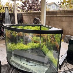 CORNER FISH TANK 36 Gallon 