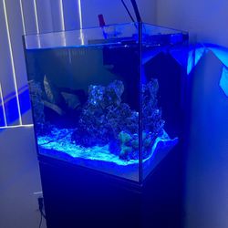Saltwater Fish Tank Aquarium Reef Light 