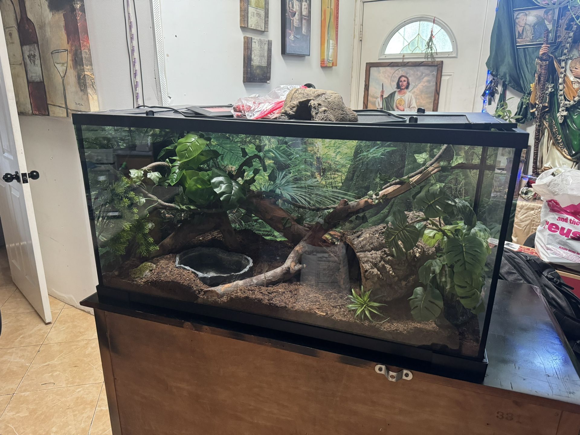 40 gallon reptile glass terrarium tank with heat mat/thermostat and custom cut wood