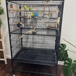 Bird Cage