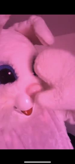 Easter Bunny Show up   And Pictures 35$ To Stay For 10 Minutes And Help Hide Eggs