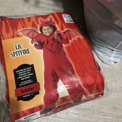 Hallowing  Coustoms  $15  Each