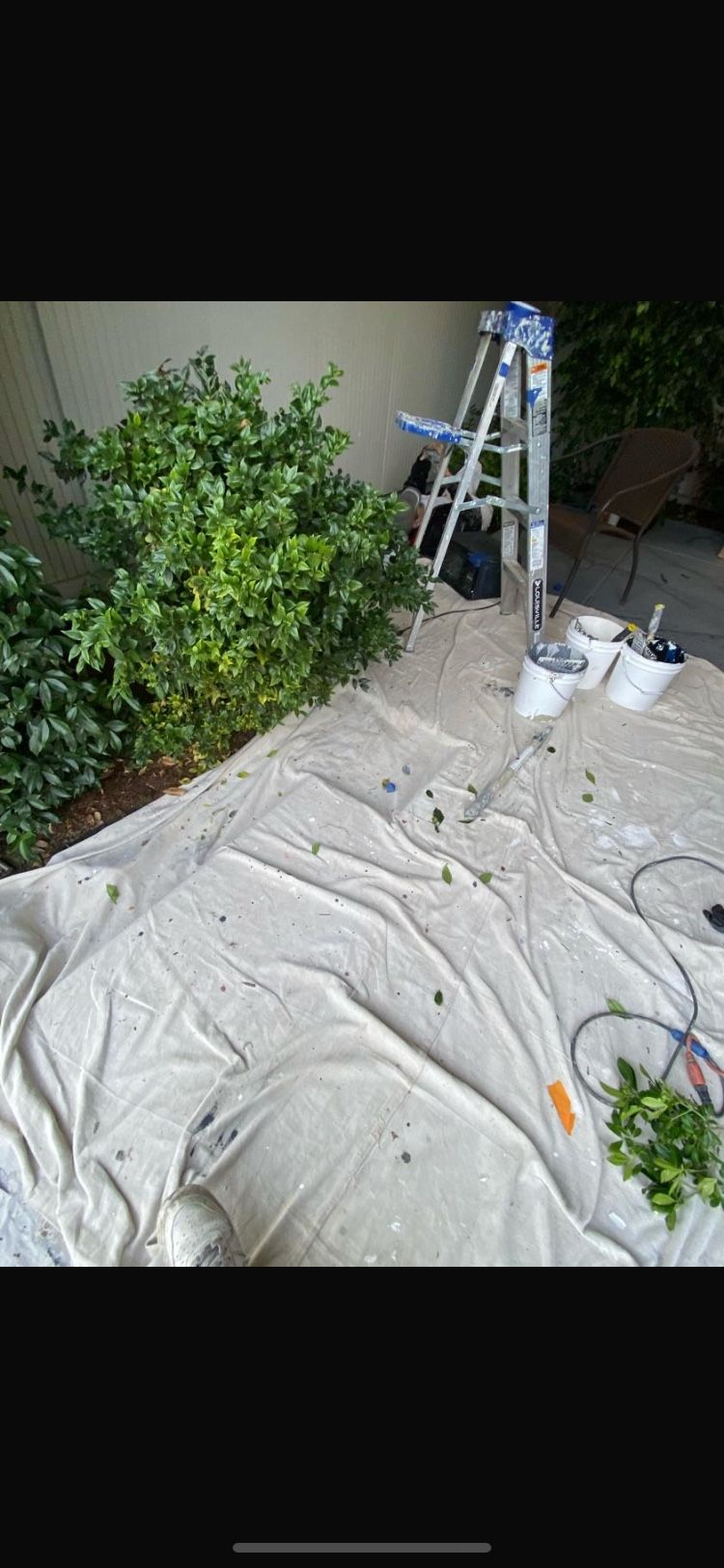 Young Painter Bay Area