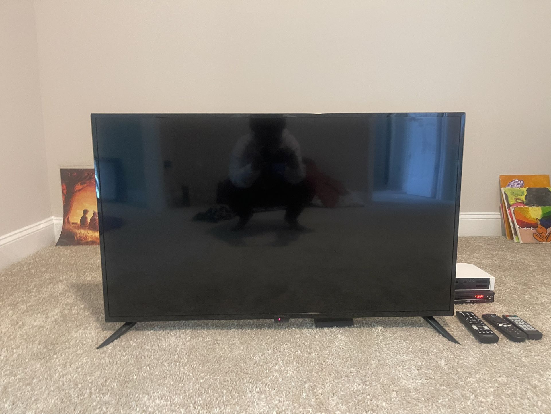 42inch TV