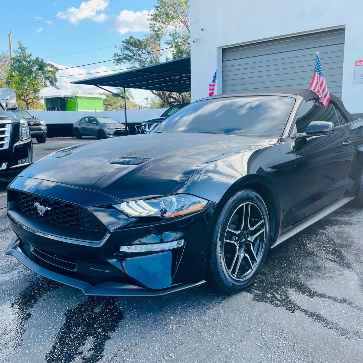 2019 Ford Mustang