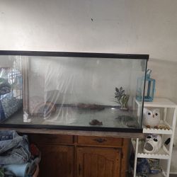 Fish Tank 
