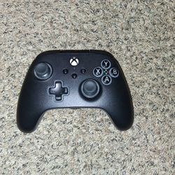 Xbox Pro Controller 