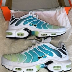 Nike Air Max Plus Gradient
