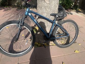 bisicleta de merla de ombré