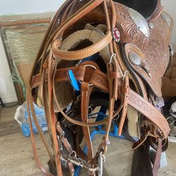 15 Inch Circle Y Silver Trim  Show Saddle