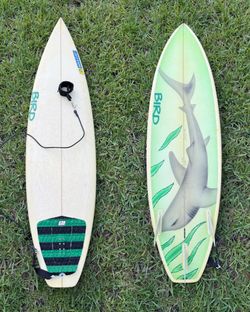 6’0” Bird Surfboard Thruster w/ Futures Fins & Leash (Shark Design)