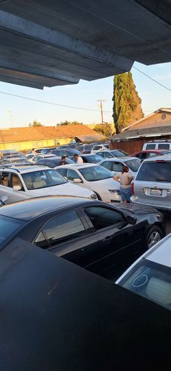 Public auctions
