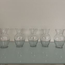 5 Glass Vases 