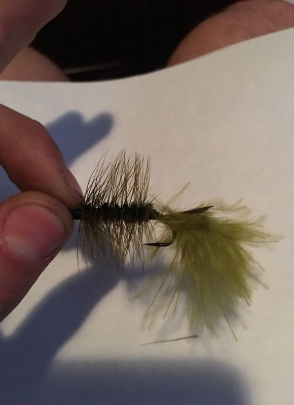 Custom flies