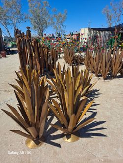 Bring the Desert Home 🌵 Cactus, Blooms & Pottery