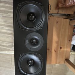 Polk T30 
