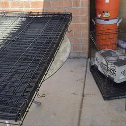 3 dog kennels