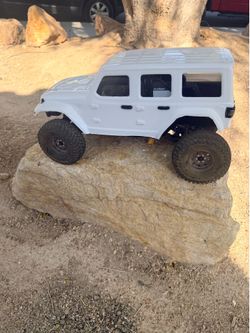 Element echo 1/10 scale
