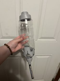 Grey Rabbit Water Bottle