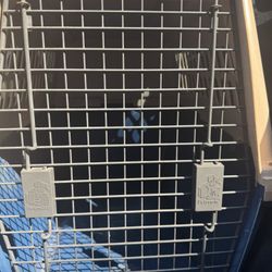 DOGLOO INC DOG CRATE