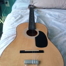 Guitar