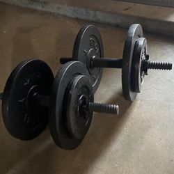 25 Pound Dumbells 
