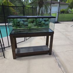 55 Gallon Tank With Wood Stand And Sliding Screen Tops