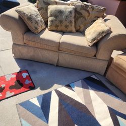 Comfortable  Loveseat Palm Tree Pillows