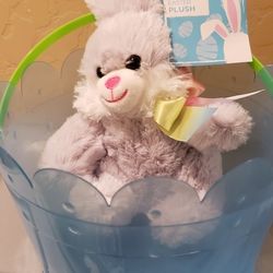 Easter Basket with Plush Easter Bunny.