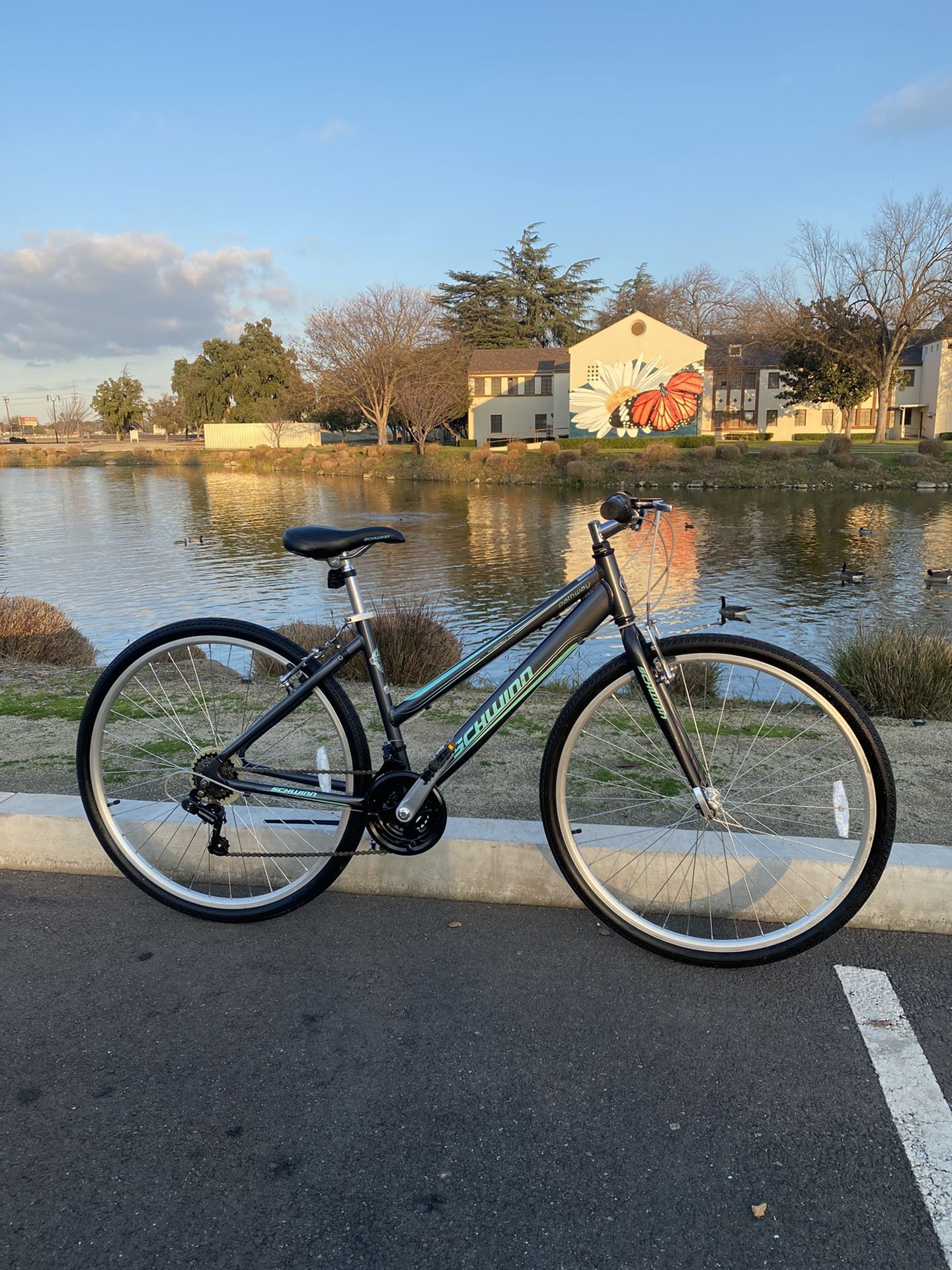 schwinn pathway bicycle Women's Trailway 700c/28" Hybrid Bike Lead the way on the Womens Trailway by Schwinn Trailway 28in Blue / One