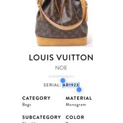 Louis Vuitton Large Bag- 100% Original 