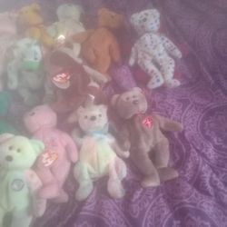Beanie  Baby S.     25. In. All