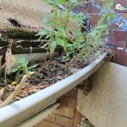 Wash And  Maintenance 