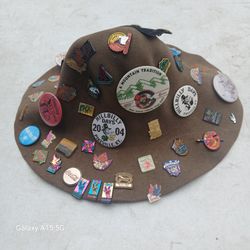 Brown Felt Hat with Hillbilly Days Collector Pins